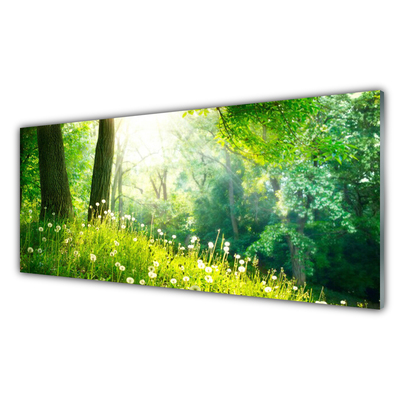 Glas billede Eng Natur Plante