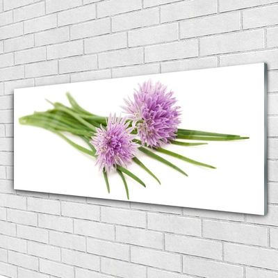 Glasfoto Blomster Plante Natur