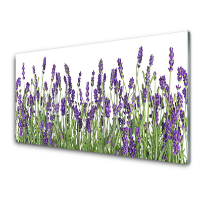 Billede glas Blomster Plante Natur