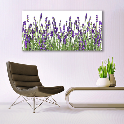 Billede glas Blomster Plante Natur