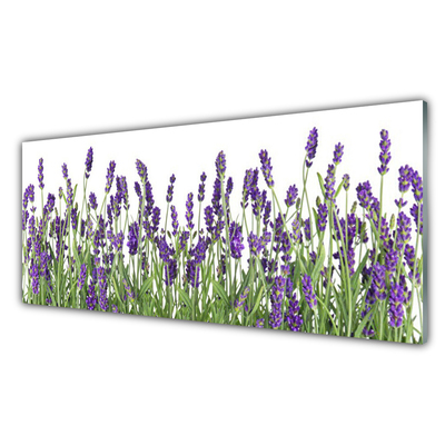 Billede glas Blomster Plante Natur