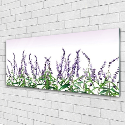 Glasfoto Blomster Planter Natur