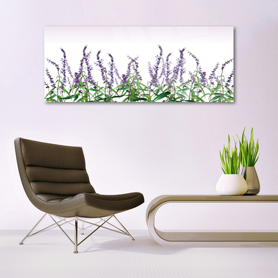 Glasfoto Blomster Planter Natur