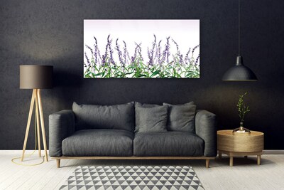 Glasfoto Blomster Planter Natur