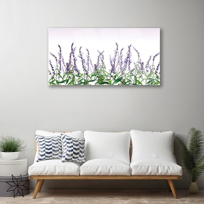 Glasfoto Blomster Planter Natur