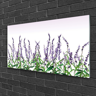 Glasfoto Blomster Planter Natur