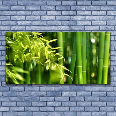 Billede på glas Bamboo Leaves Plant