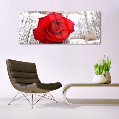 Billede glas Rose Flower Plant Nature