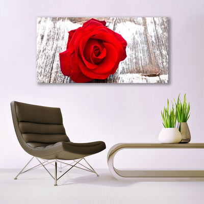 Billede glas Rose Flower Plant Nature