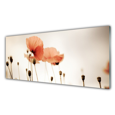 Glasfoto Poppies Nature Plant