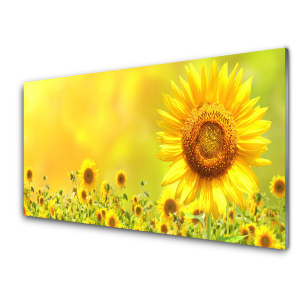 Glasfoto Sunflower Flower Plant