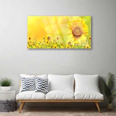 Glasfoto Sunflower Flower Plant