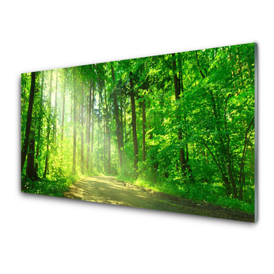 Billede glas Forest Trees Nature