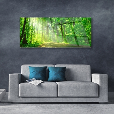 Billede glas Forest Trees Nature