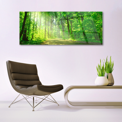 Billede glas Forest Trees Nature