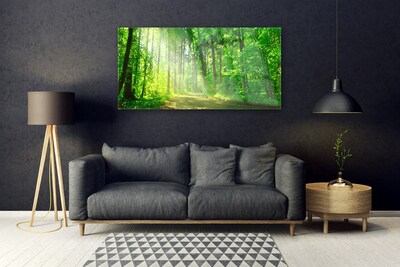 Billede glas Forest Trees Nature