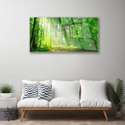 Billede glas Forest Trees Nature