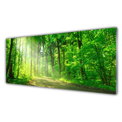 Billede glas Forest Trees Nature