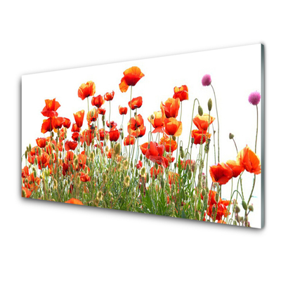 Billede i glas Poppies Nature plant