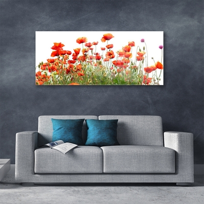 Billede i glas Poppies Nature plant