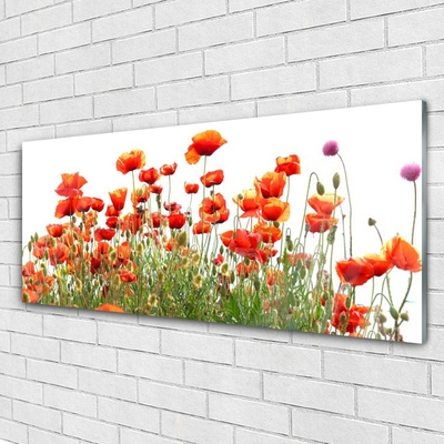 Billede i glas Poppies Nature plant