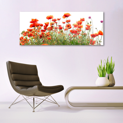 Billede i glas Poppies Nature plant