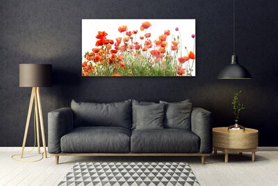 Billede i glas Poppies Nature plant