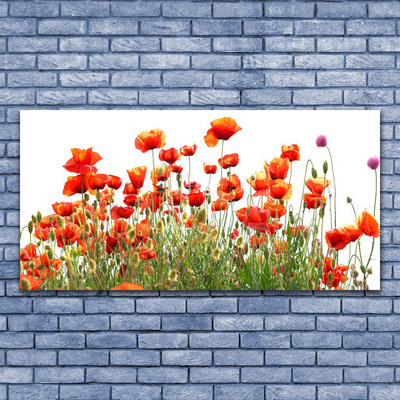 Billede i glas Poppies Nature plant