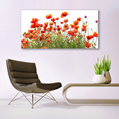 Billede i glas Poppies Nature plant