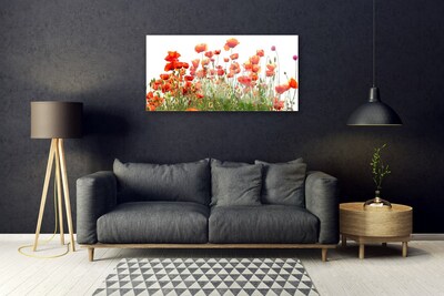 Billede i glas Poppies Nature plant