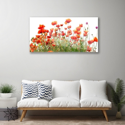 Billede i glas Poppies Nature plant