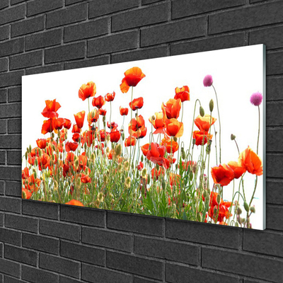 Billede i glas Poppies Nature plant