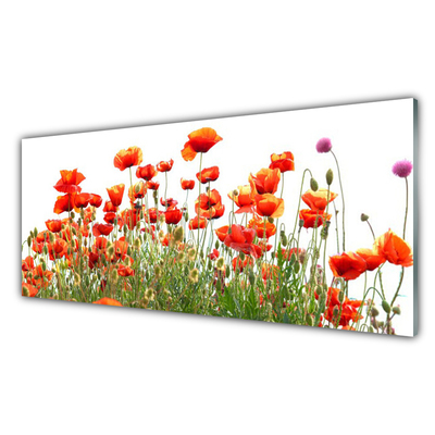 Billede i glas Poppies Nature plant