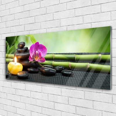 Billede glas Bambusblomst Zen Spa