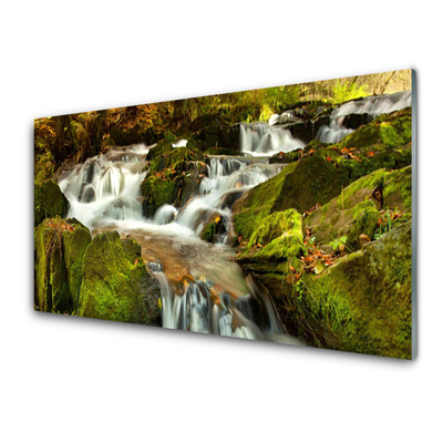 Billede i glas Waterfall Rocks Nature