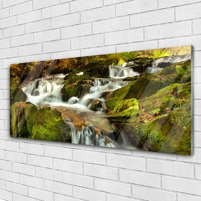 Billede i glas Waterfall Rocks Nature