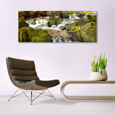 Billede i glas Waterfall Rocks Nature