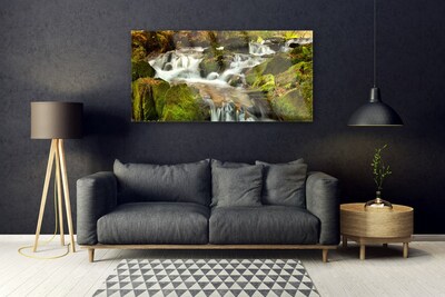 Billede i glas Waterfall Rocks Nature