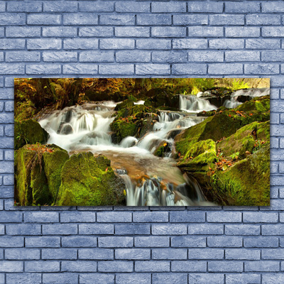 Billede i glas Waterfall Rocks Nature