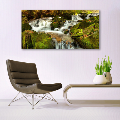 Billede i glas Waterfall Rocks Nature