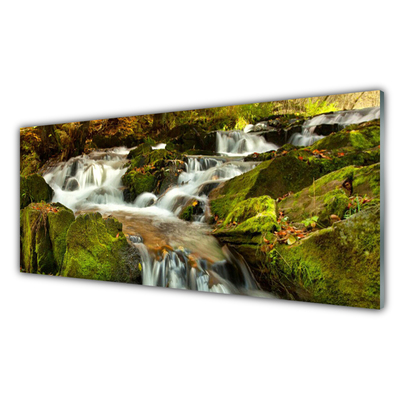 Billede i glas Waterfall Rocks Nature