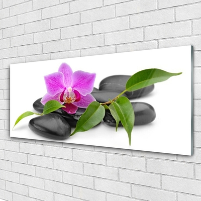 Glasbillede Flower Orchid Art