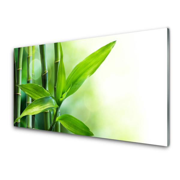 Glas billede Bambusblad Plante Natur