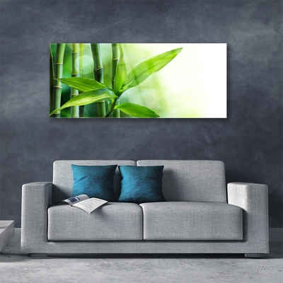 Glas billede Bambusblad Plante Natur