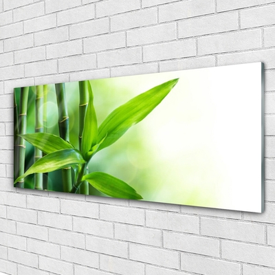 Glas billede Bambusblad Plante Natur