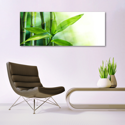 Glas billede Bambusblad Plante Natur