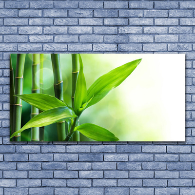 Glas billede Bambusblad Plante Natur