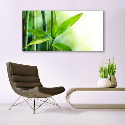 Glas billede Bambusblad Plante Natur