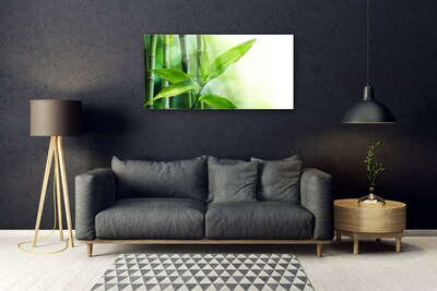 Glas billede Bambusblad Plante Natur