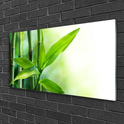 Glas billede Bambusblad Plante Natur